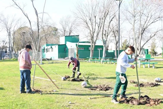 150 SAUCES: MÁS ÁRBOLES EN PUNTA LARA - Municipalidad de Ensenada
