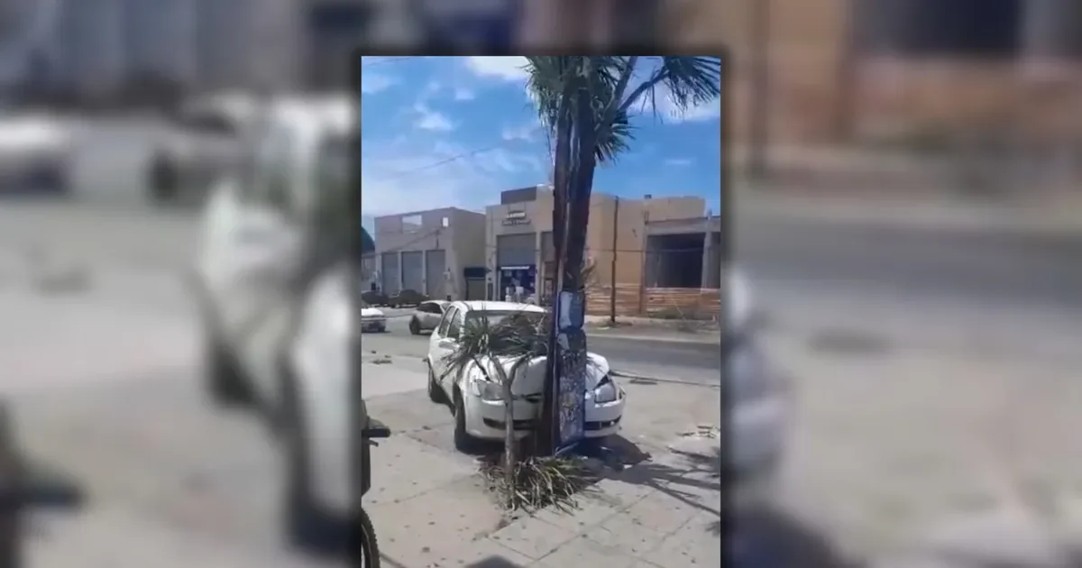 Accidente en La Plata: un auto sin frenos embiste un árbol en plena vereda