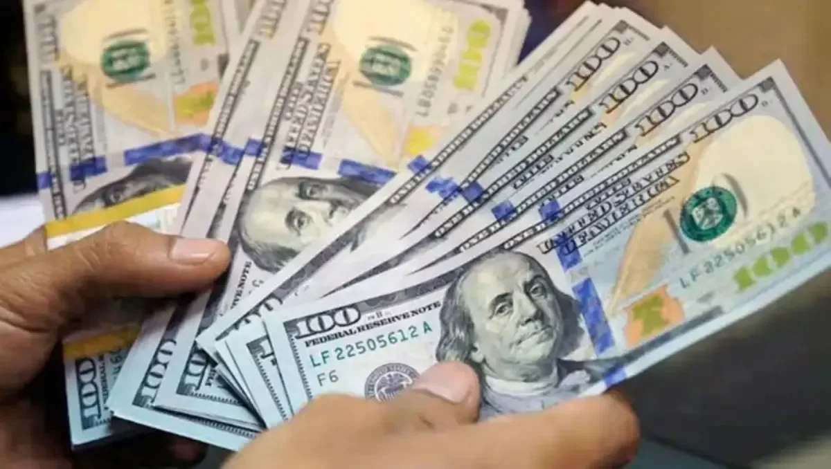 Ahorristas de Ensenada y La Plata mantienen US$ 170 mil millones fuera del sistema financiero