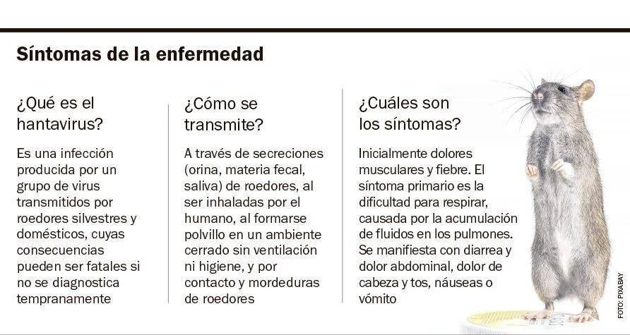 Alerta en La Plata: vecinos deben seguir recomendaciones ante casos de hantavirus