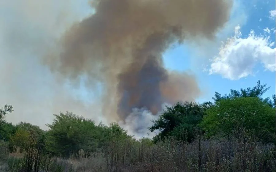 Arturo Seguí enfrenta emergencia: incendio amenaza viviendas y refugios de animales