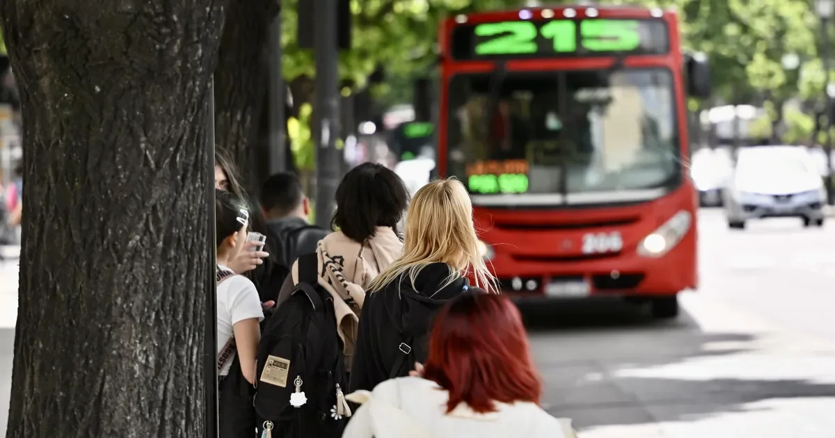 Aumento del boleto de micros en La Plata impacta a los usuarios: nuevo monto confirmado