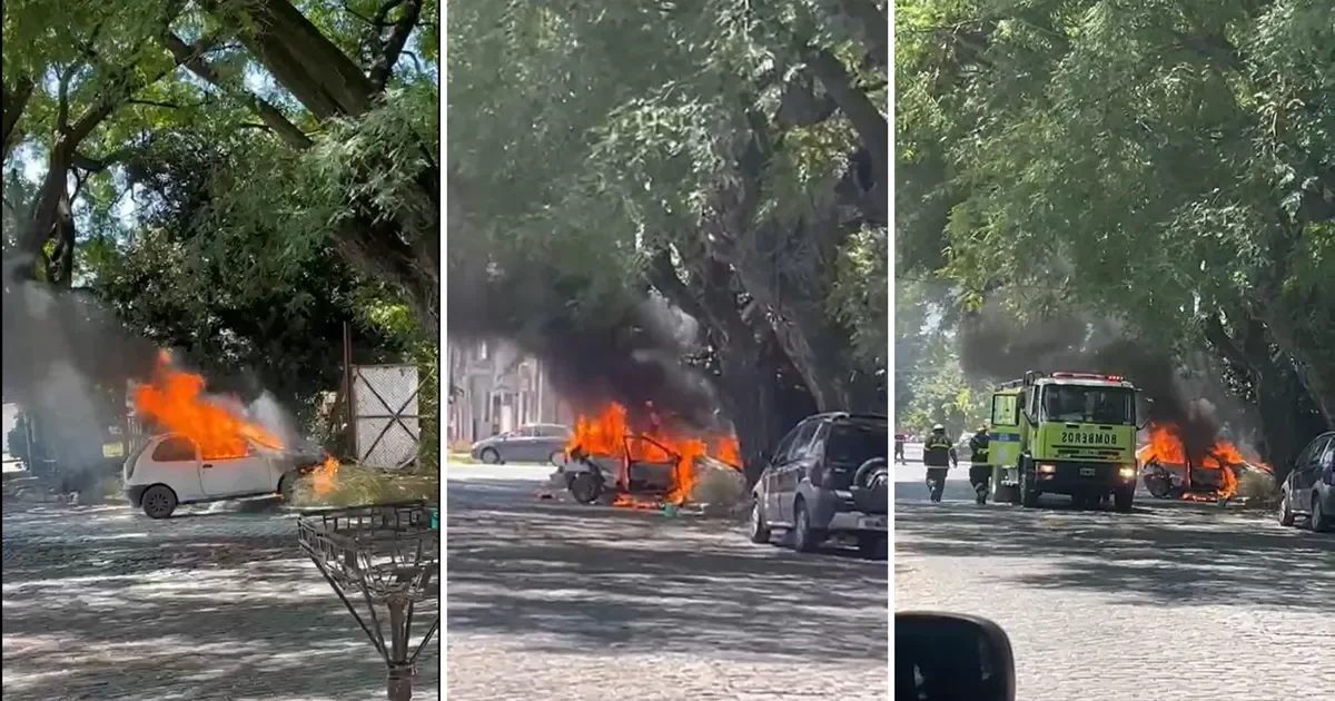 Auto adquirido en La Plata se incendia a pocos metros tras cargar combustible