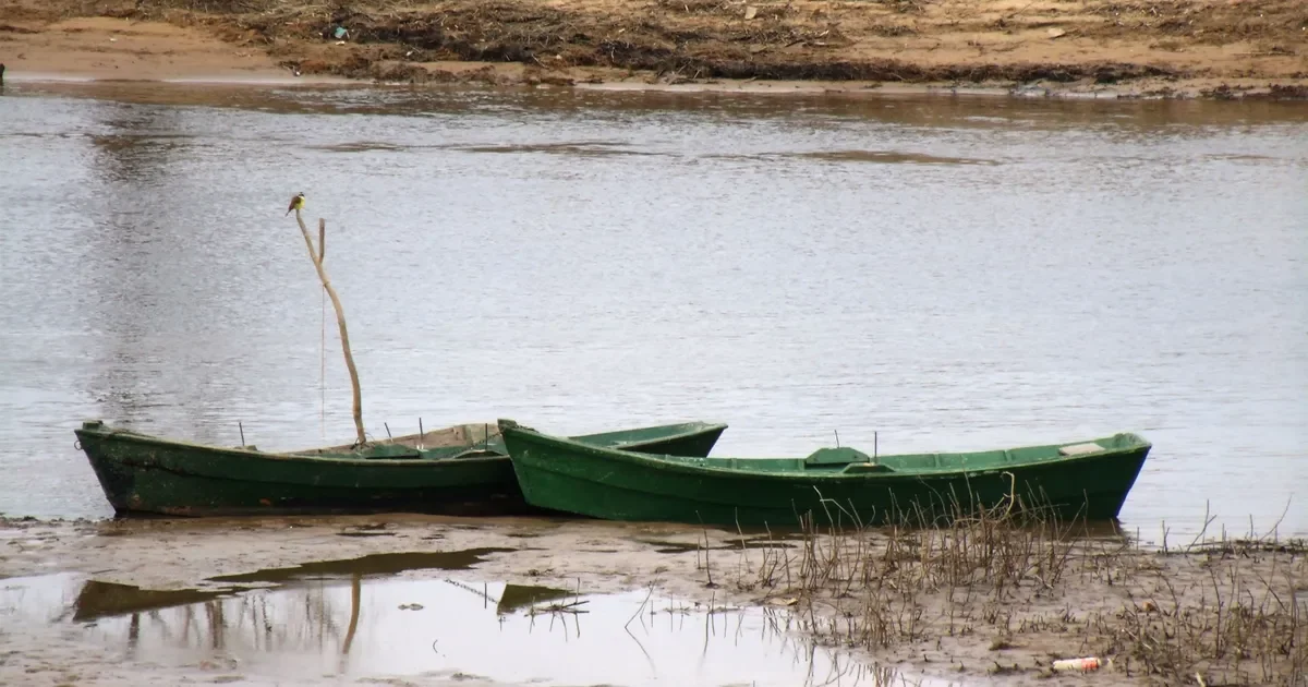 Berisso en luto: la comunidad se une tras la inesperada muerte de un vecino en la Isla Paulino