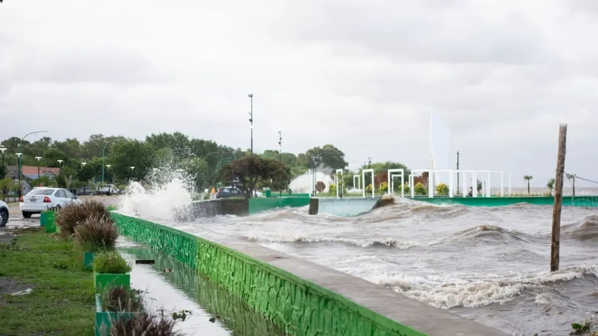 Berisso y alrededores en alerta: la crecida del río afecta a los vecinos y sus hogares