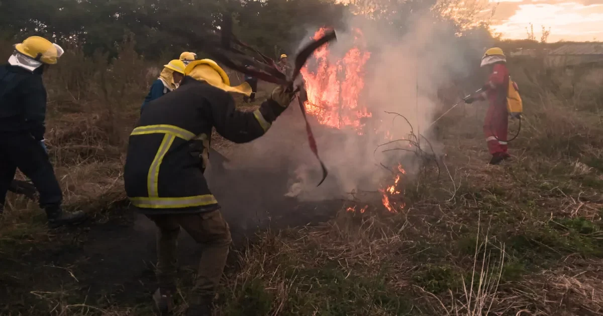 Bomberos de Arturo Seguí entrenan en simulacro de incendio forestal para mejorar su respuesta