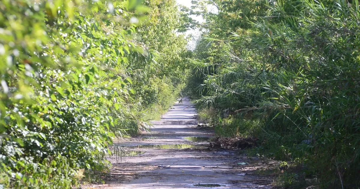 Camino Negro en mal estado: vecinos de La Plata y Ensenada exigen respuestas urgentes