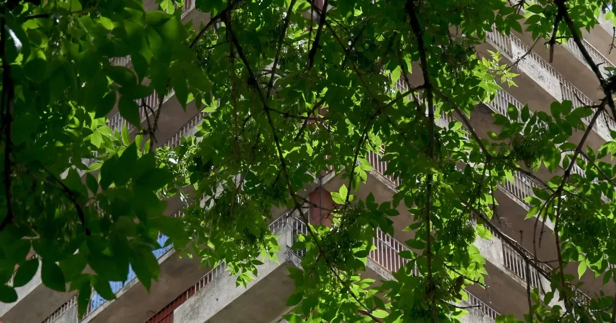 Casi 40% de las familias del AMBA enfrenta dificultades económicas y busca préstamos