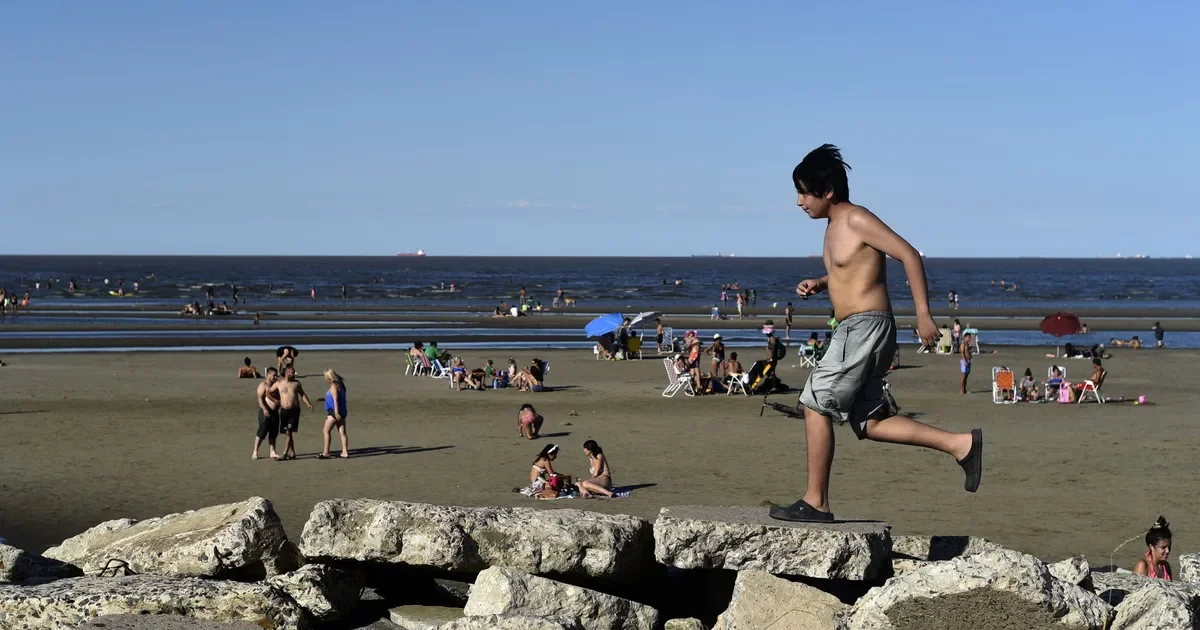 Cianobacterias en cinco puntos críticos de Berisso y Ensenada: alerta para vecinos y visitantes