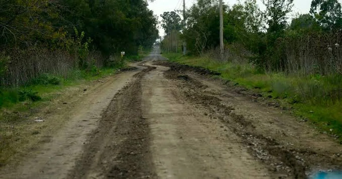 City Bell en alerta: intentos de usurpación de terrenos cerca del arroyo preocupan a vecinos.