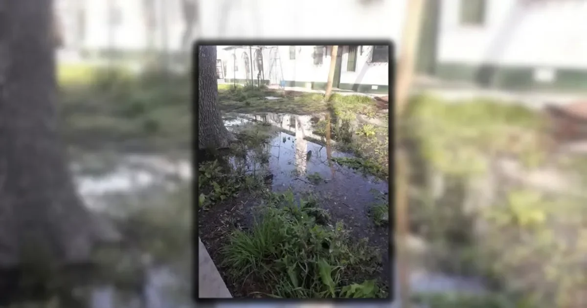 Clases suspendidas en el jardín de Poblet por desborde cloacal: vecinos exigen soluciones urgentes