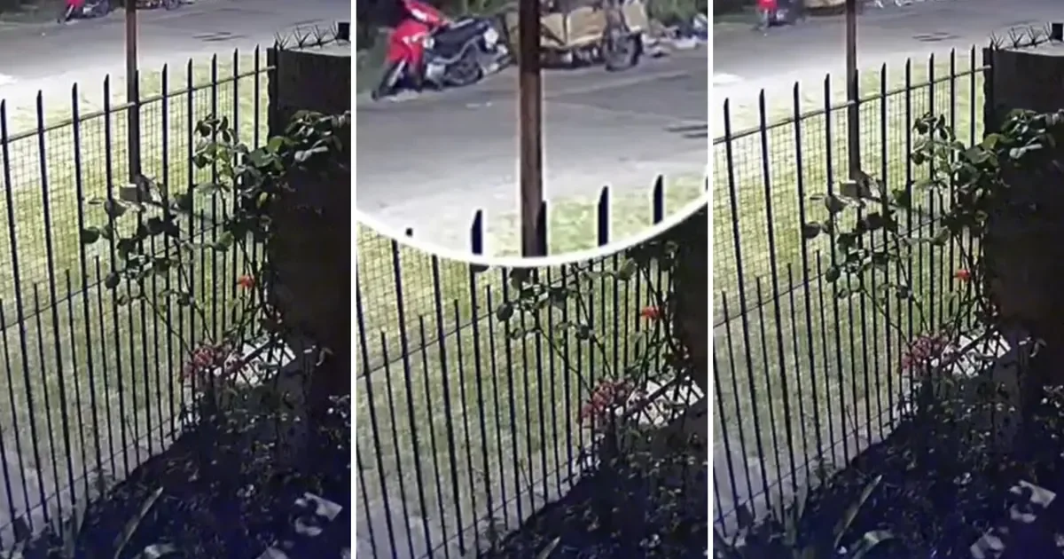 Club de barrio en La Plata sufre robo millonario que pone en riesgo la pretemporada