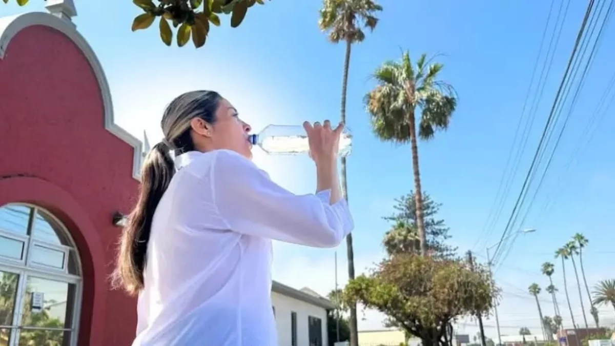 Consejos para prevenir el golpe de calor en La Plata ante las altas temperaturas de hoy