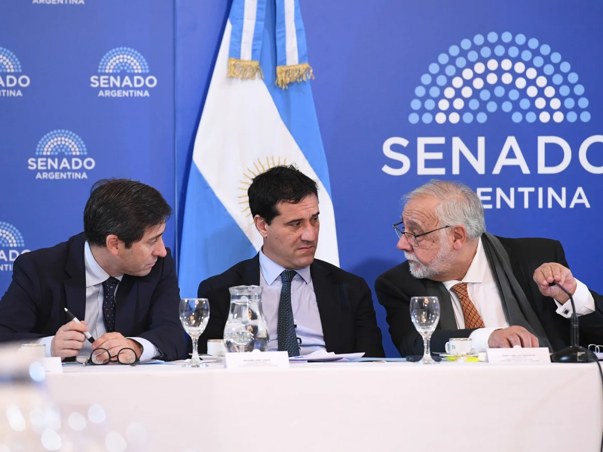 Controversia en La Plata: candidatos y propuestas se enfrentan por nuevos pliegos.