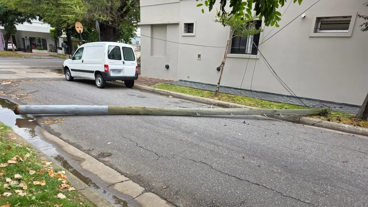 Corte de luz en Ringuelet: un poste caído afecta a varios vecinos de la zona