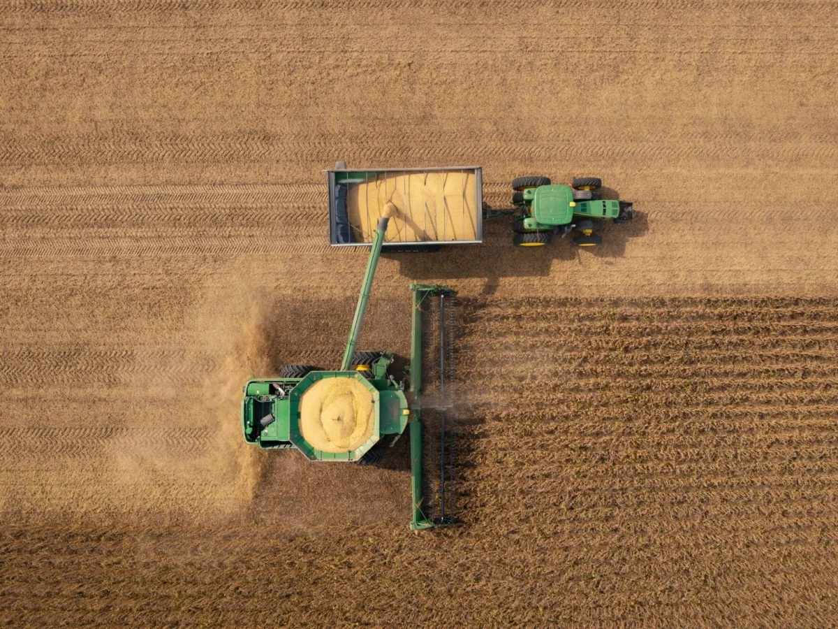 Cosecha récord de soja en La Plata genera tensiones en el mercado local