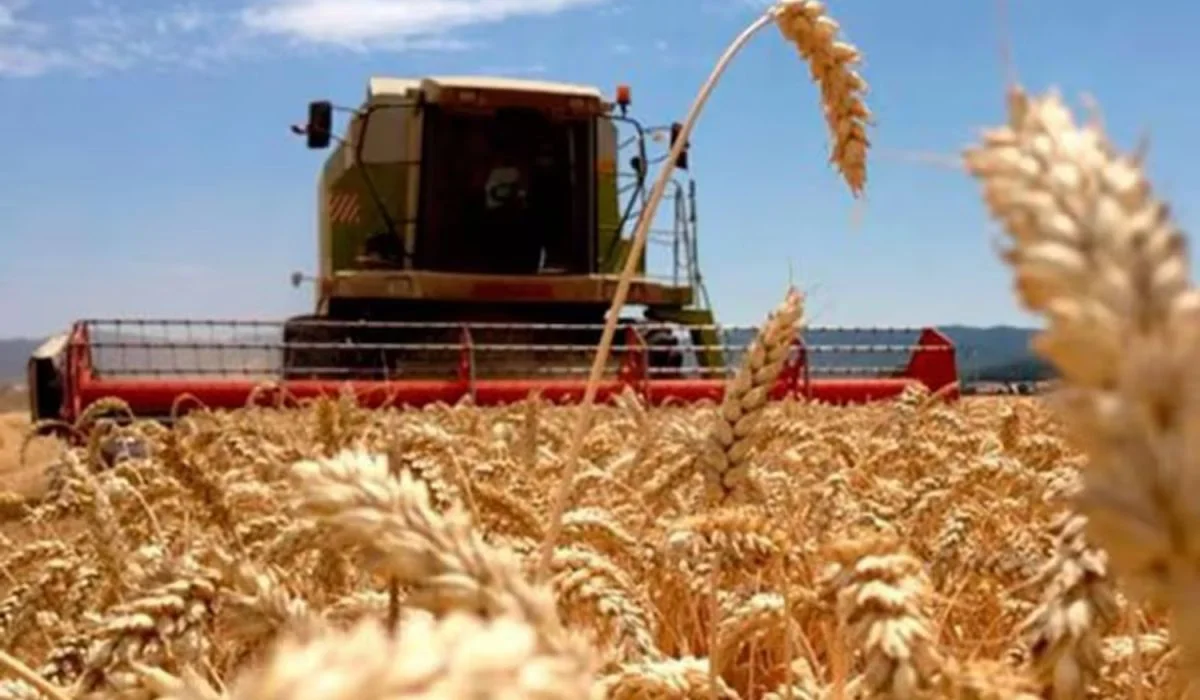 Crecimiento del 4,4% en la economía argentina: sectores clave en el impulso actual