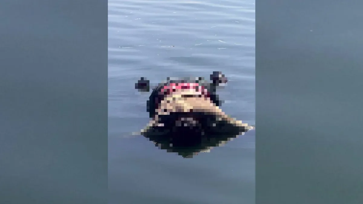 Cuerpo sin vida hallado en la laguna junto a la autopista genera conmoción en La Plata