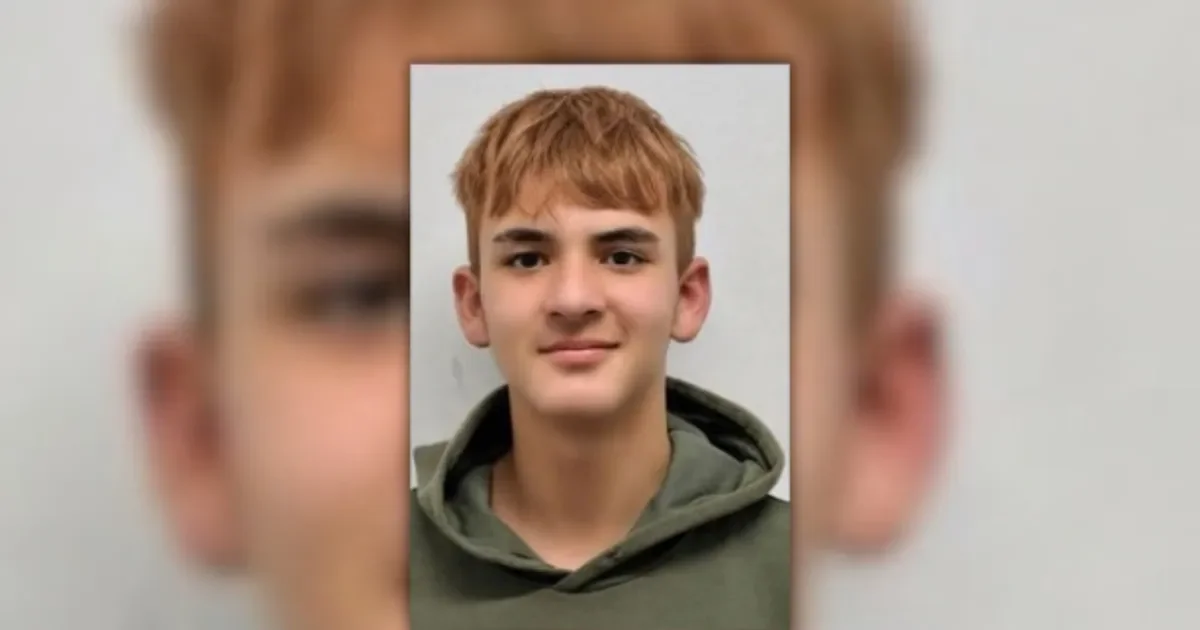 Desesperada búsqueda en La Plata: un joven de 14 años lleva una semana desaparecido