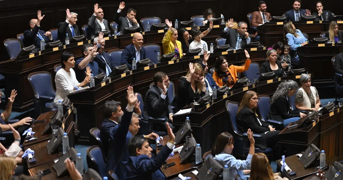 Desglose de apoyos y rechazos: cómo impactan las reformas políticas en Buenos Aires