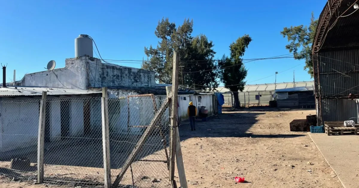 Desmantelan en La Plata una red de trata laboral que afectaba a trabajadores de quintas