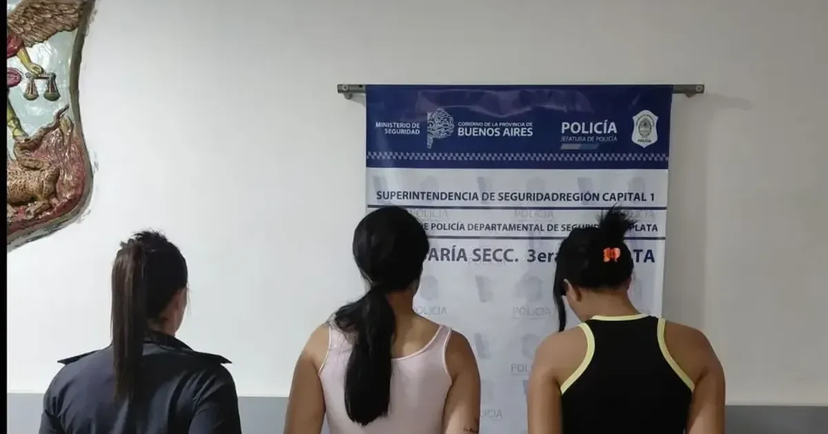 Detenida por ataque en Los Hornos tenía un oscuro historial de violencia familiar