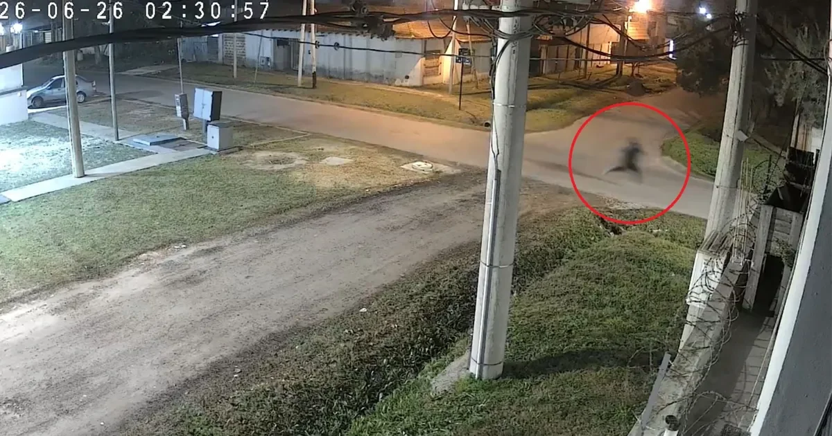 Dueño de casa en La Plata frustra robo a tiros: el dramático momento quedó grabado