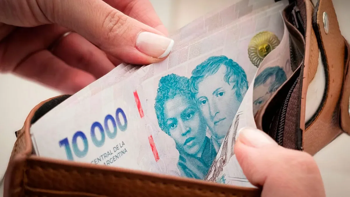 Economía argentina: objetivos, instrumentos y señales de una recuperación desigual - Diario La Capital de Mar del Plata