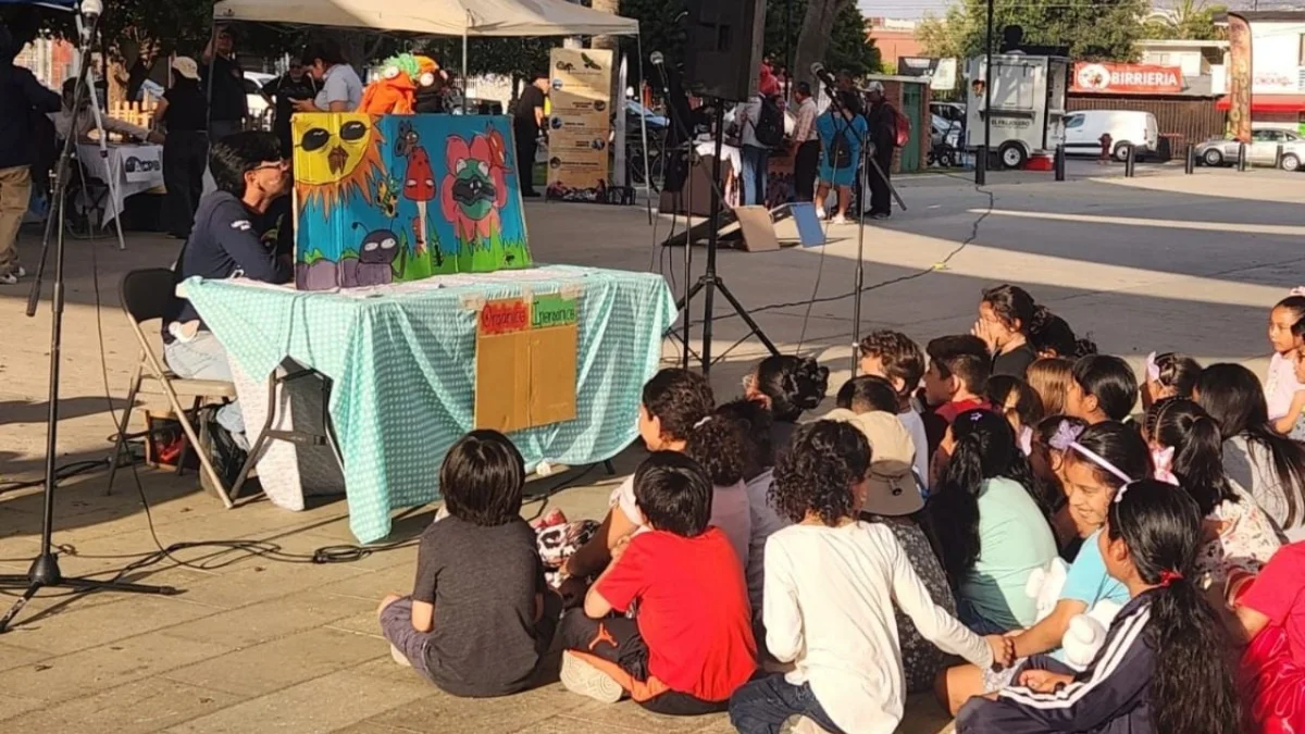 El chorlito nevado, símbolo de conservación: actividades en Ensenada por su día municipal