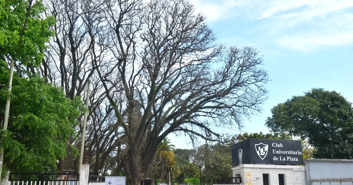 El Club Universitario de La Plata impulsa el pickleball: evento inaugural en Gonnet