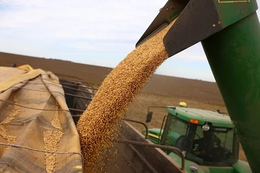 El crecimiento del 0,7% en la economía argentina beneficia a sectores clave en Ensenada y La Plata