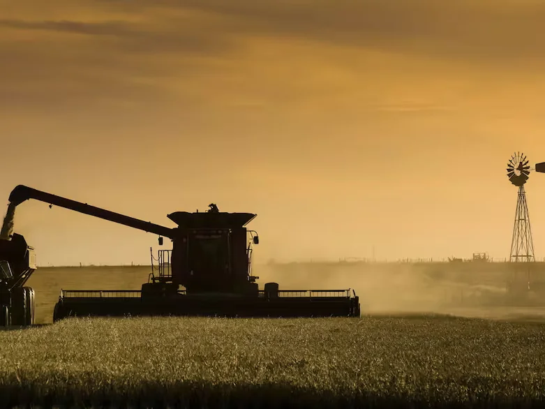 El crecimiento del 4,4% en la economía argentina beneficia a productores de La Plata y Berisso