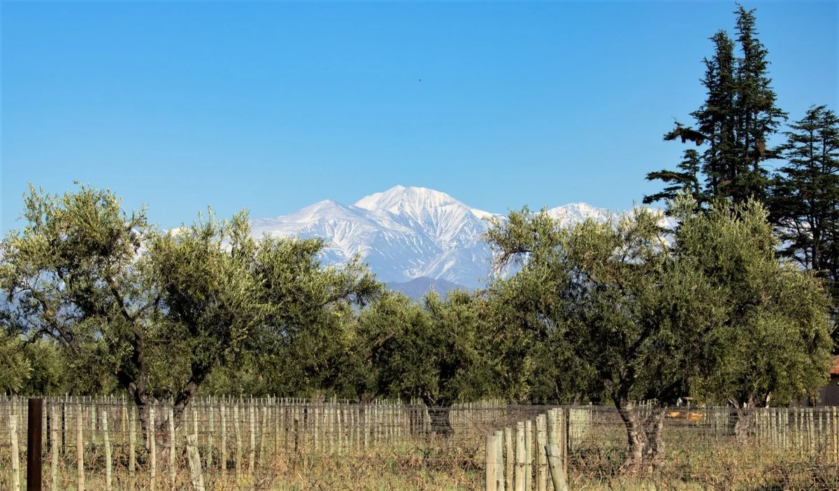 El estancamiento económico de Mendoza genera preocupación en La Plata y Ensenada