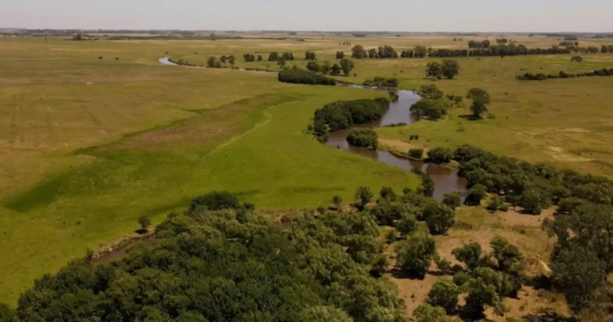 El festival por el humedal del arroyo El Pescado busca concientizar a la comunidad de Ensenada