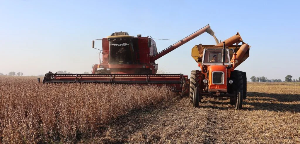 El impacto del agro en la economía local de La Plata y su región