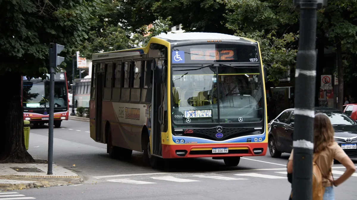 El nuevo aumento del boleto de micro en La Plata impactará a miles de usuarios desde febrero
