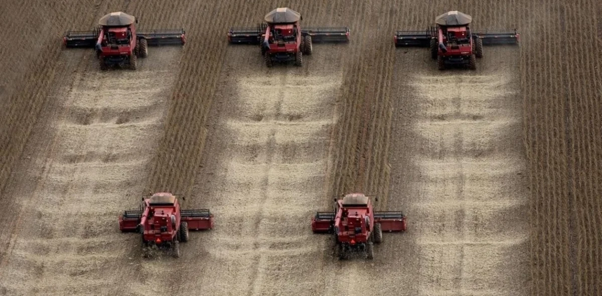 El potencial del agro en La Plata: ¿cuánto puede crecer la economía local?
