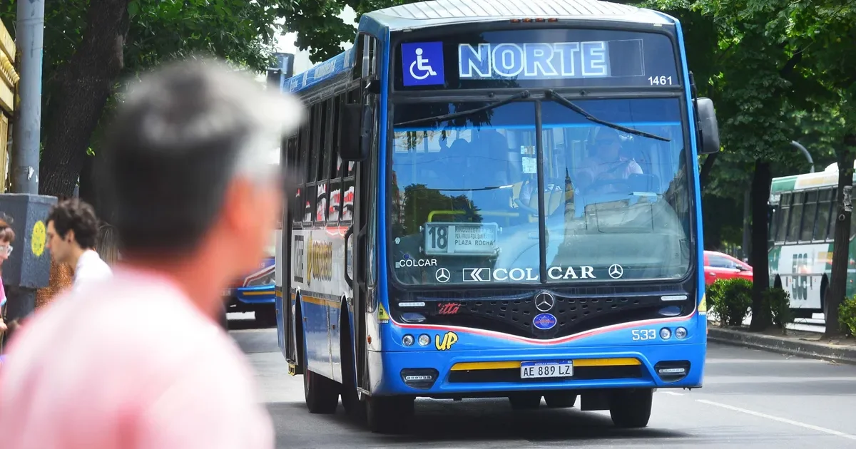 Empresas en competencia por el servicio de micros: ¿qué implicará para los usuarios de La Plata?