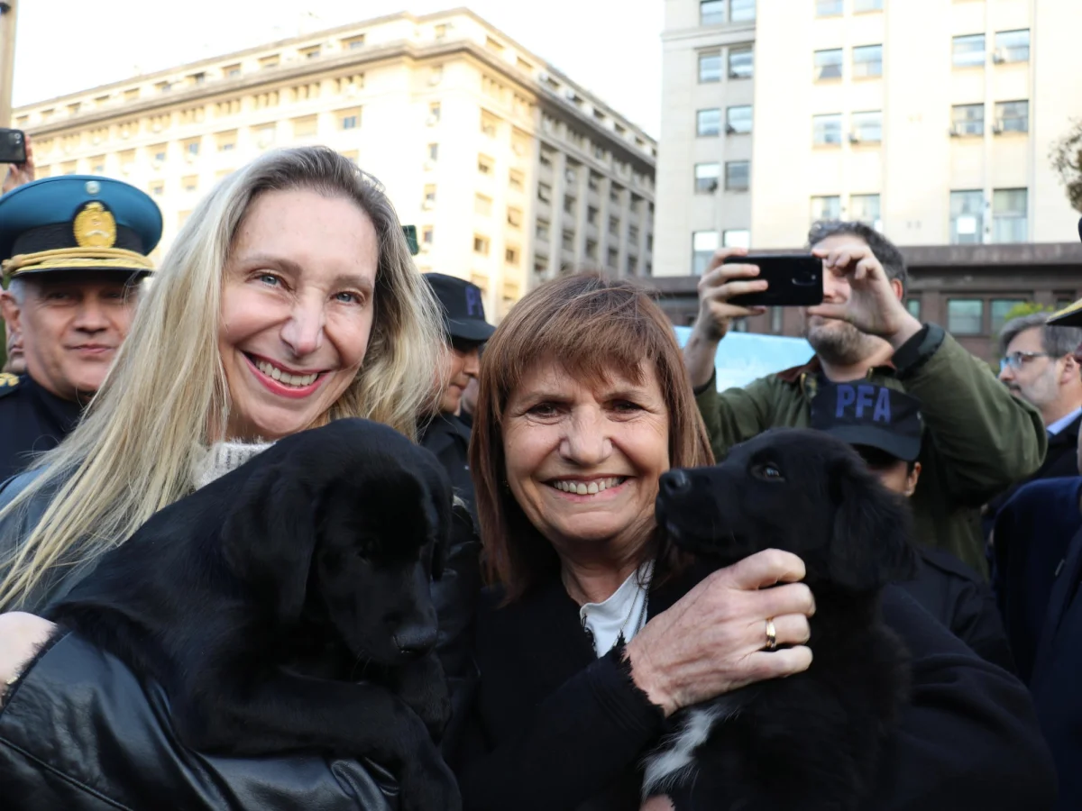Encuesta revela los dirigentes mejor y peor valorados del Gobierno en La Plata