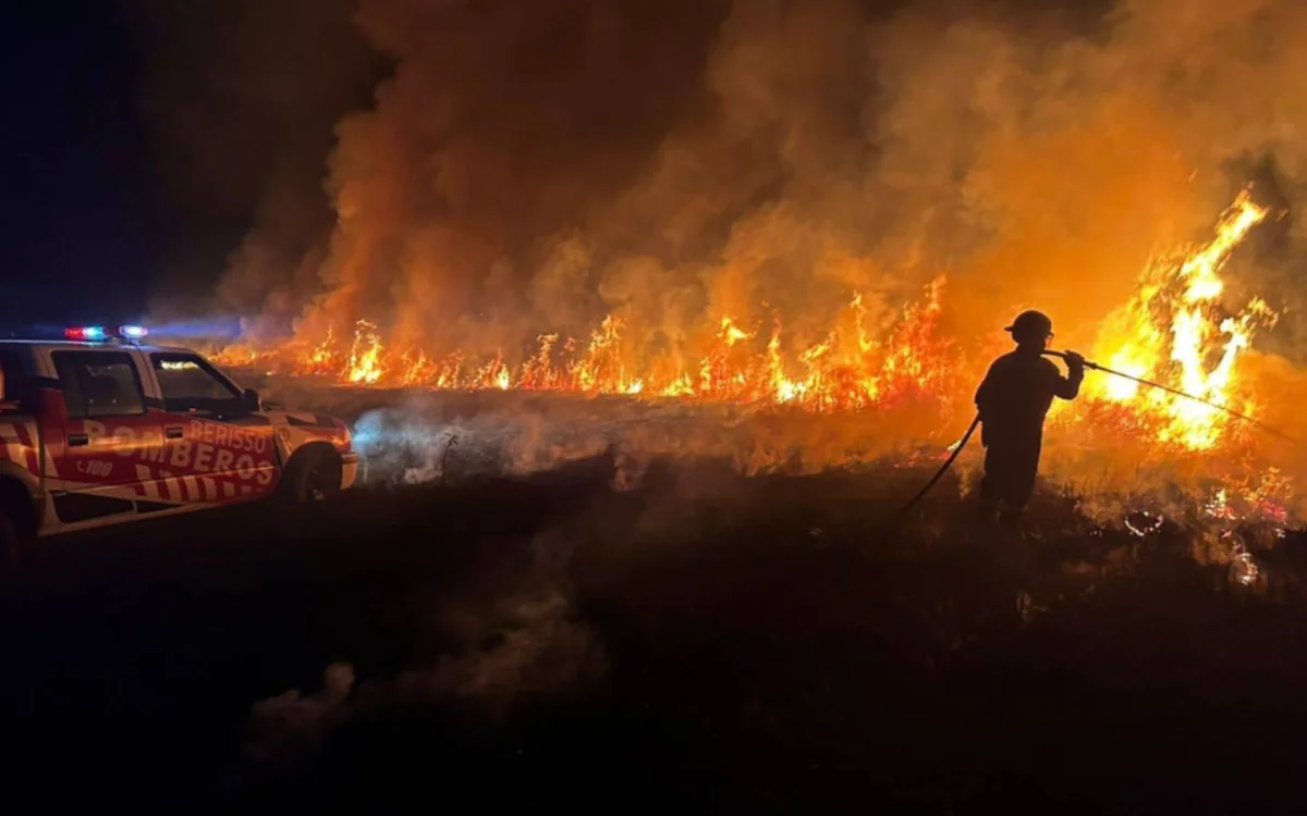 Enorme columna de humo en La Plata: incendio de pastizales genera preocupación en vecinos