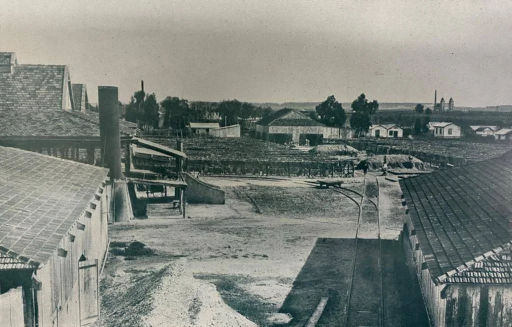 Ensenada celebra su rica historia con actividades culturales para todos los vecinos