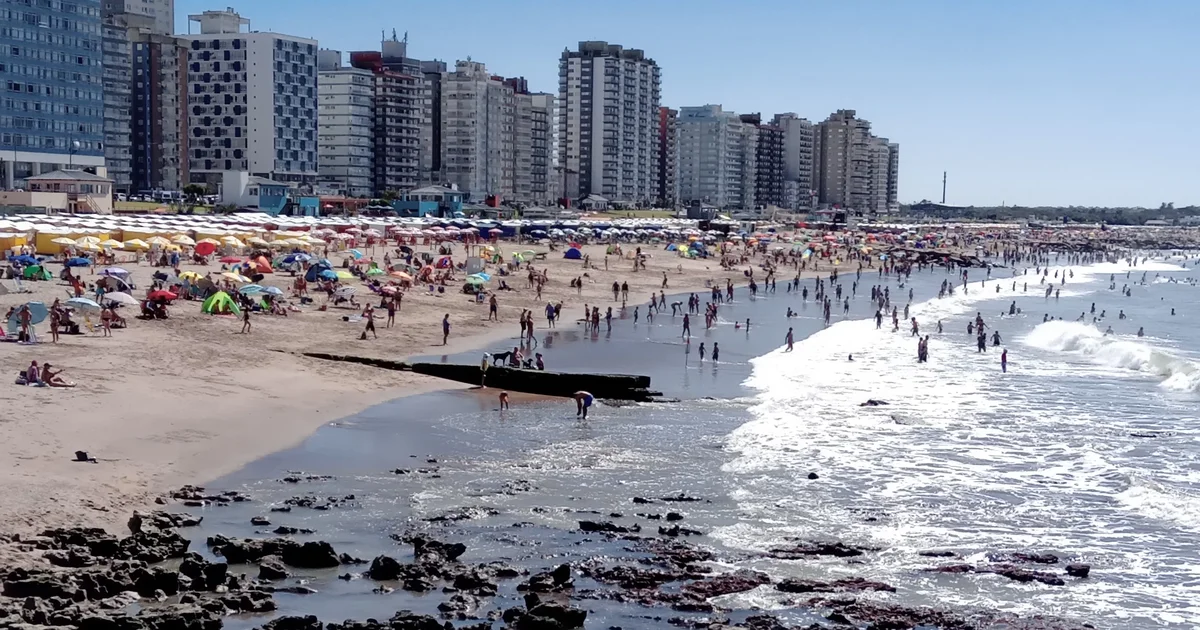 Escapada a la costa atlántica: descubriendo los secretos de la tranquilidad en Berisso