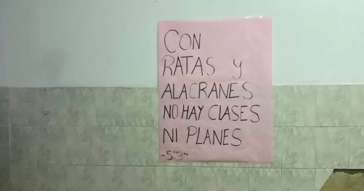 Estudiantes del Normal 3 de La Plata protestan por invasión de ratas y condiciones insalubres