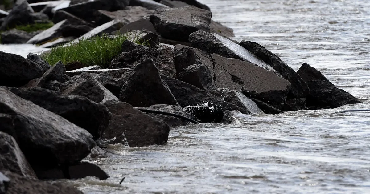 Expertos alertan sobre la grave contaminación de arroyos en La Plata y Berisso tras el embargo provincial