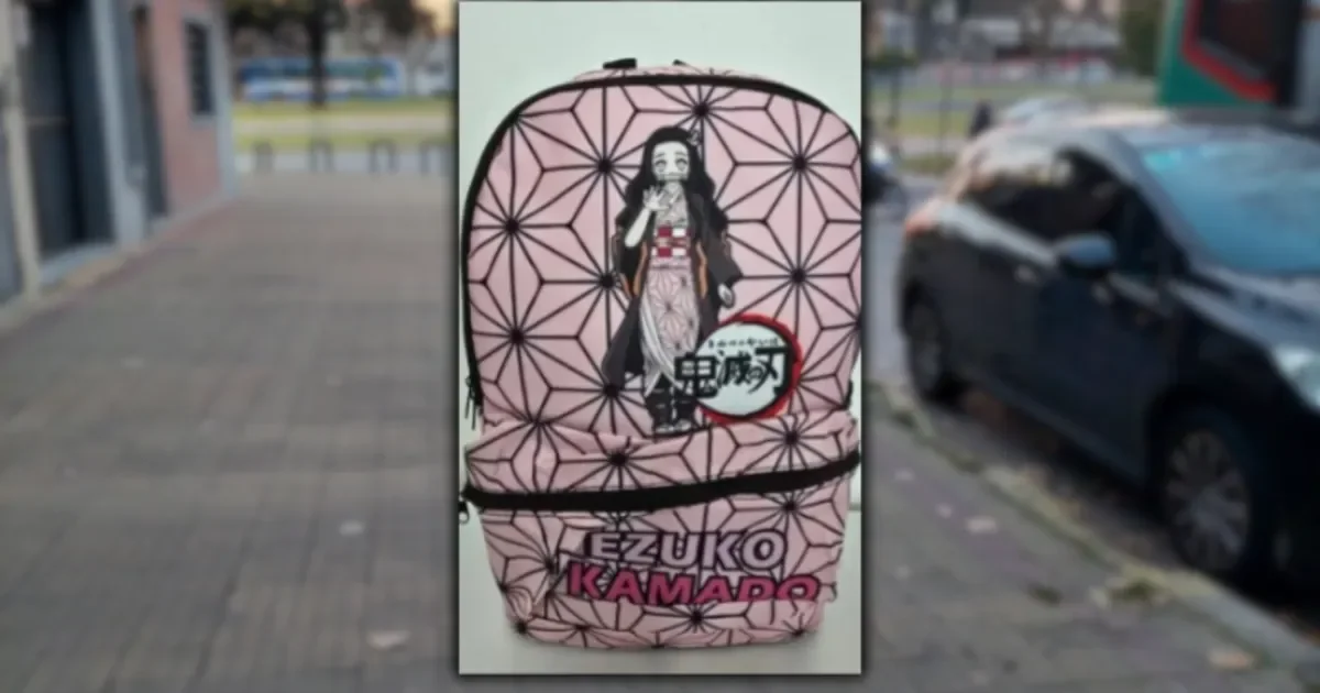 Familia de La Plata busca recuperar mochila robada a su hija en pleno centro