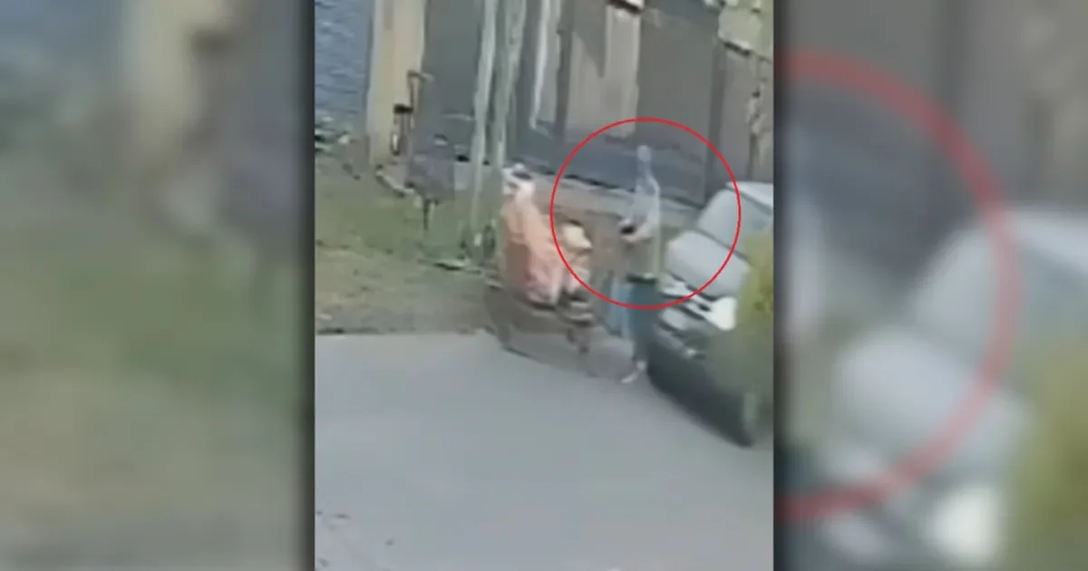 Gonnet en alerta: un hombre grave tras ser atropellado en plena calle