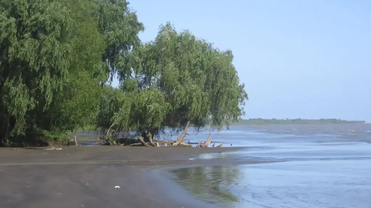 Hallan un cráneo humano en la Isla Paulino: impactante descubrimiento que inquieta a la comunidad