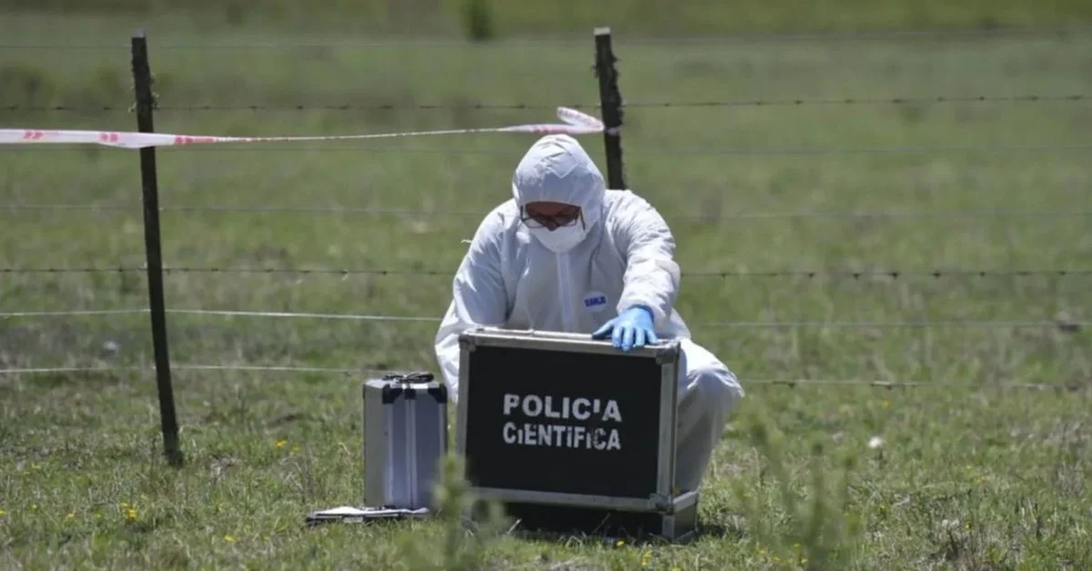 Hallan un cuerpo sin vida en la laguna cercana a la autopista Buenos Aires-La Plata, conmoción en Ensenada