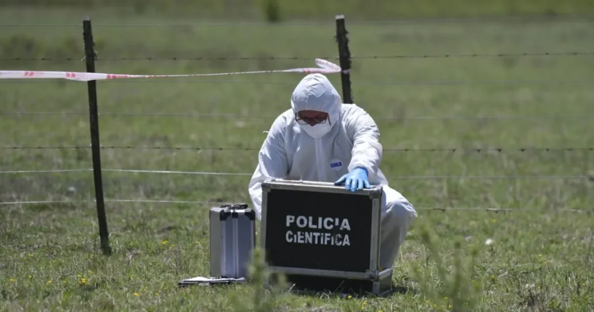 Hallazgo en el Aeroclub La Plata: cuerpo de un hombre genera preocupación en la comunidad
