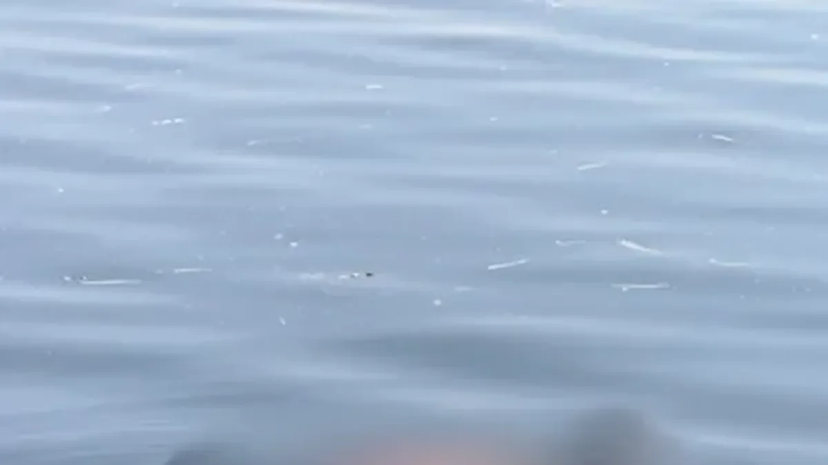 Hallazgo escalofriante: un cadáver interrumpe el tránsito en la Autopista La Plata-Buenos Aires